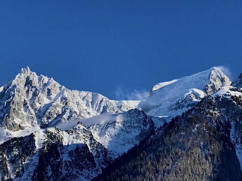 Chalet Amour Blanc Chamonix Les Houches Bagian luar foto