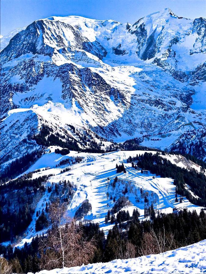 Chalet Amour Blanc Chamonix Les Houches Bagian luar foto