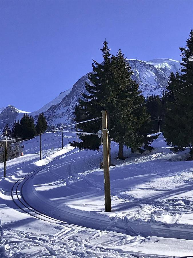 Chalet Amour Blanc Chamonix Les Houches Bagian luar foto