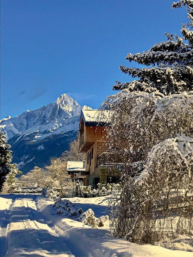 Chalet Amour Blanc Chamonix Les Houches Bagian luar foto